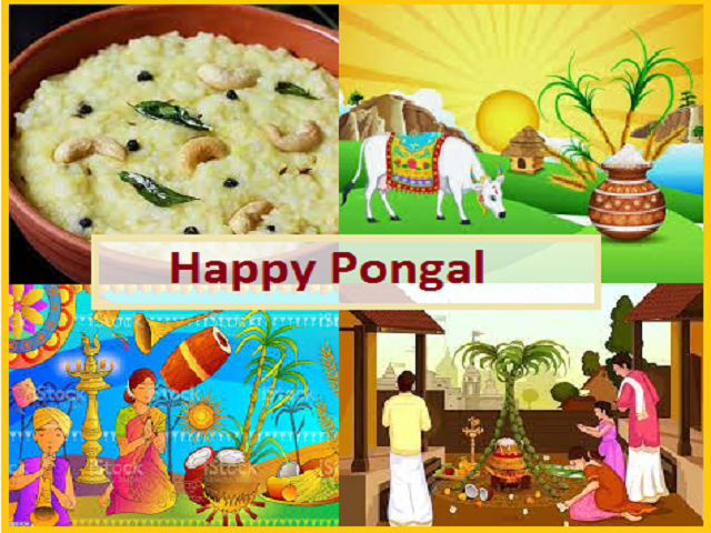 Happy-Pongal